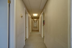 26361835