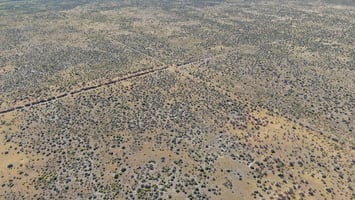 26339387