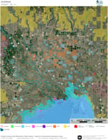 34106803
