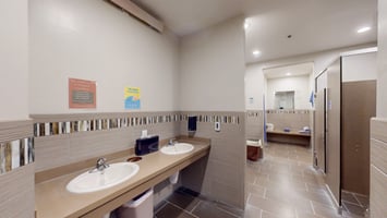 26339646