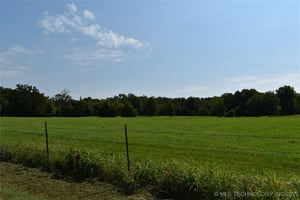 26339925