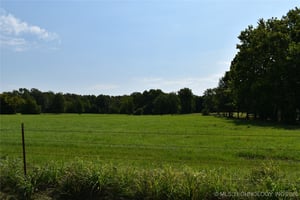 26339926