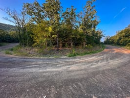 26340023