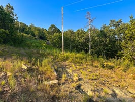 26340068
