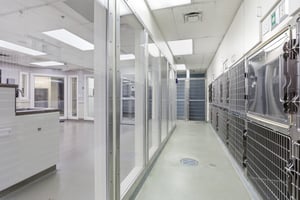 34299672