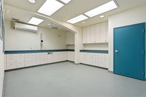 34299633
