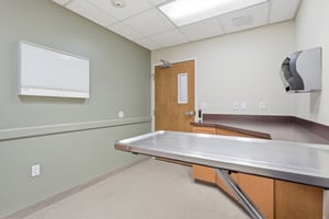 34299664
