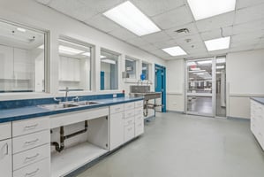 34299634