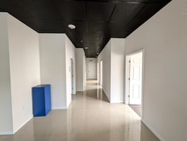 26354018