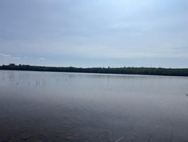 26351181