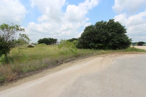 26356082