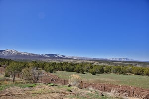 26356839