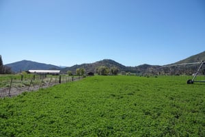 28211216