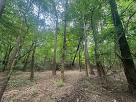 26363793