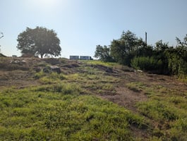 26364866
