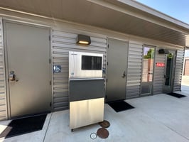 26368116