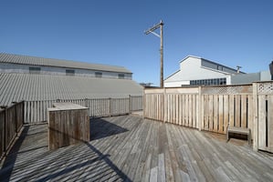 26369003