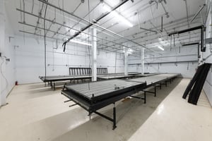 26369162