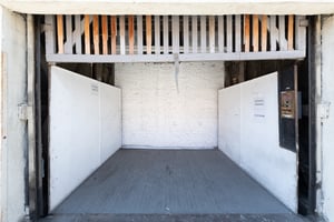 26369118