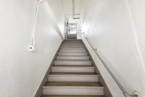 26369116
