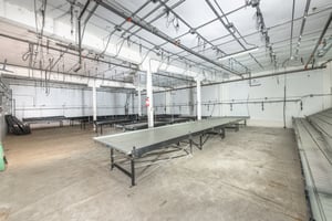 26369144