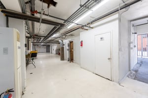 26369104