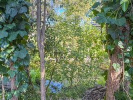 26374964