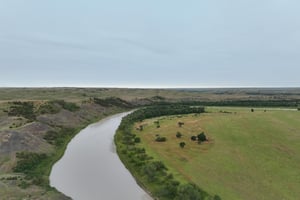 29205558