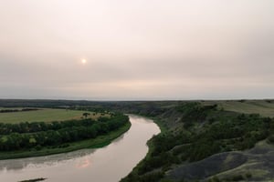 29205554