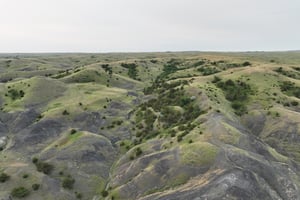 29205546