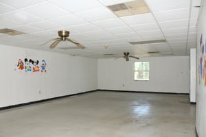 26383801