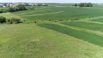 26384352