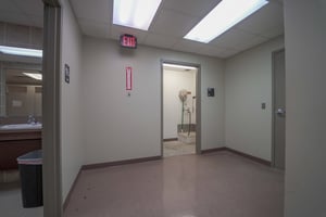 31511355
