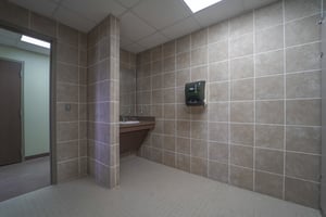 31511356