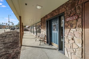 26387335