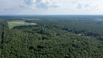26398924