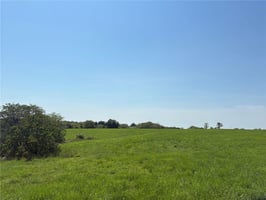 26392203