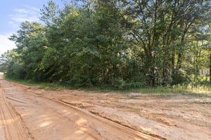 26399594