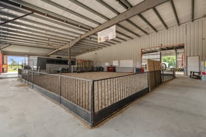 26405648