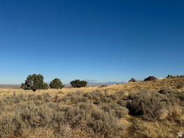 26405694