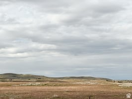 26405699