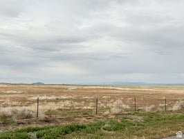 26405683