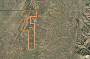 26405691