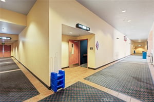 26406029