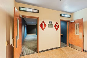 33820098