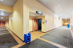 33820097