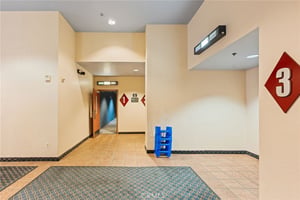 26406031