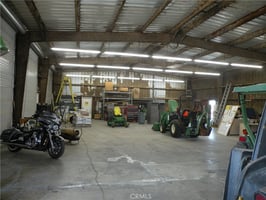 33820748