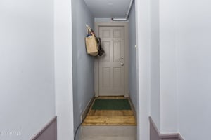 26409159