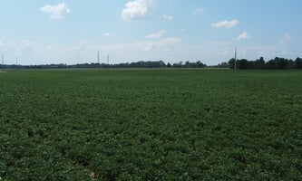 26420361